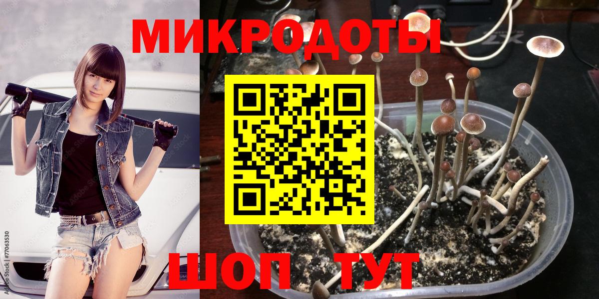 Псилоцибиновые грибы Magic Shrooms Нововоронеж