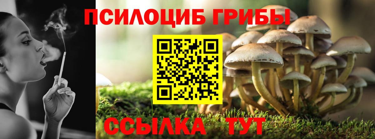 Галлюциногенные грибы мицелий  Вход с VPN  Нововоронеж 